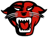 Davenport University