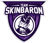 Team SkinBaron