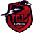 TGJ Esports