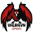 Valravn Esports Valravn Esports