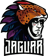 Team Jaguar