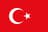 Team Türkiye