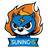 Suning-S