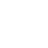 BRUTE