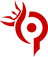 Team Paradox