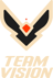 Team Vision