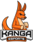 Kanga Esports