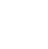 Salamander