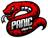 Panic eSports