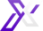 95X Esports