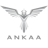 Arora Esports