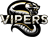 Vipers Esports