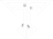 Team TSK