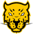 Jaguares Esports