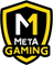 Meta Gaming Meta Gaming