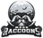 Moon Raccoons