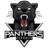 Panthers Esports