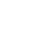 Phoenix Esport