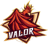 Team Valor