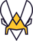Team Vitality