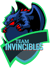 Team Invincibles (Call of Duty)
