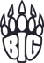BIG (Counter-Strike (CS2)) BIG (Counter-Strike (CS2))