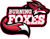 Burning Foxes (Counter-Strike (CS2))
