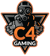 C4 (Counter-Strike (CS2))