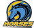 Karabakh Horses (Counter-Strike (CS2))