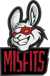 Misfits (Counter-Strike (CS2))