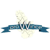 proWince (Counter-Strike (CS2))