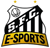 Santos e-Sports (Counter-Strike (CS2))