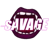 Savage (Counter-Strike (CS2)) Savage (Counter-Strike (CS2))