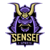 Sensei eSports (Counter-Strike (CS2))