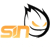 SIN (Counter-Strike (CS2))