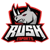 RUSH (Counter-Strike (CS2))