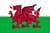 Team Wales (Counter-Strike (CS2))