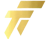 TT Team (Counter-Strike (CS2))