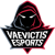 Vaevictis (Counter-Strike (CS2))