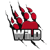 WiLD MultiGaming (Counter-Strike (CS2)) WiLD MultiGaming (Counter-Strike (CS2))