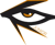 Illuminar Junior (Counter-Strike (CS2))