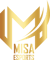 Misa Esports (Counter-Strike (CS2)) Misa Esports (Counter-Strike (CS2))