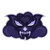 Dark Cloud Esports (Counter-Strike (CS2))