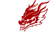 Dragon Esports Club (Counter-Strike (CS2))