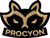 Procyon (Counter-Strike (CS2))