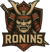 Ronin5 (Counter-Strike (CS2))