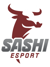Sashi Esport (Counter-Strike (CS2)) Sashi Esport (Counter-Strike (CS2))