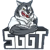 SayGGTeam (Counter-Strike (CS2))