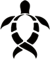 Terra Esports (Counter-Strike (CS2))