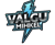 Välgu Mihkel (Counter-Strike (CS2))